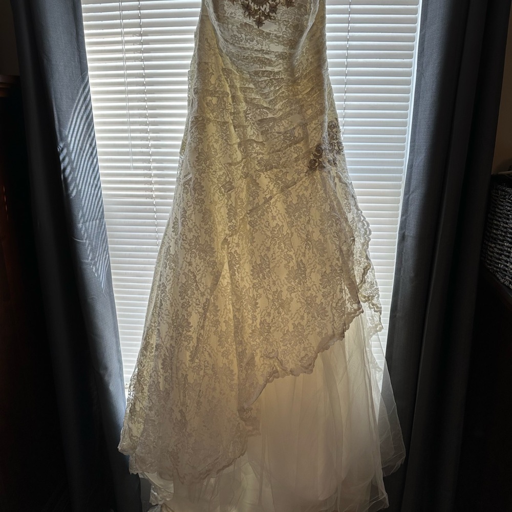 David's Bridal Ivory Lace Gown